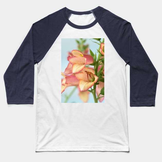 Digitalis x valinii  Illumination Pink = 'Tmdgfp001'  Foxglove  Illumination Series Baseball T-Shirt by chrisburrows